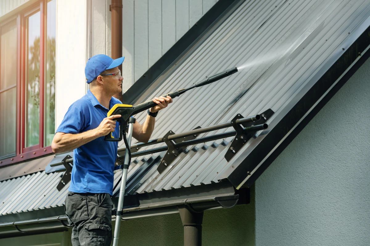 Professional roof cleaning services for residential and commercial properties.