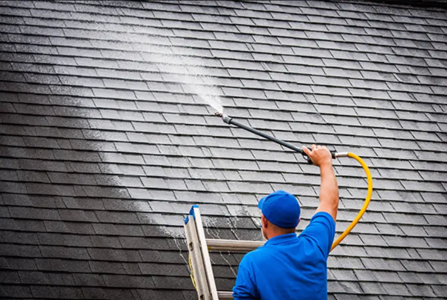 Residential and commercial roof cleaning in Grand Blanc Michigan